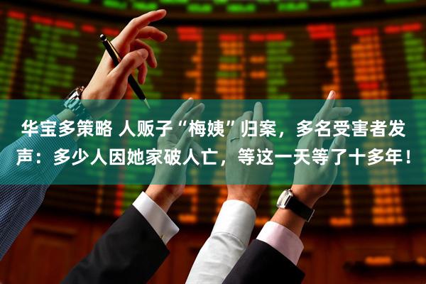 华宝多策略 人贩子“梅姨”归案,多名受害者发声:多少人因她家破人亡,等这一天等了十多年!